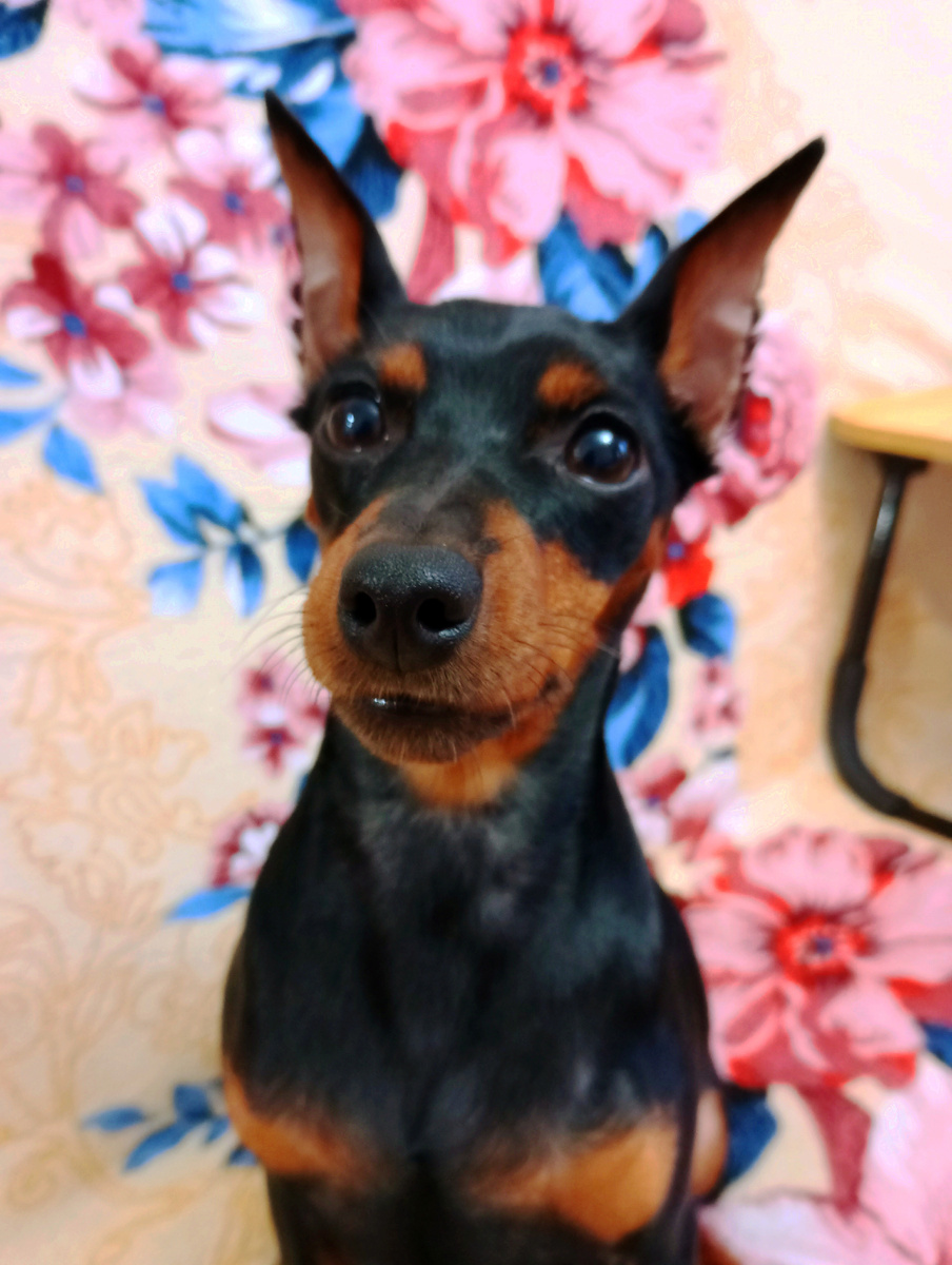 Ну как можно жить без этих глазок?