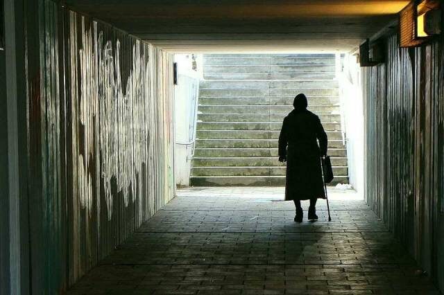    Фото: pixabay.com