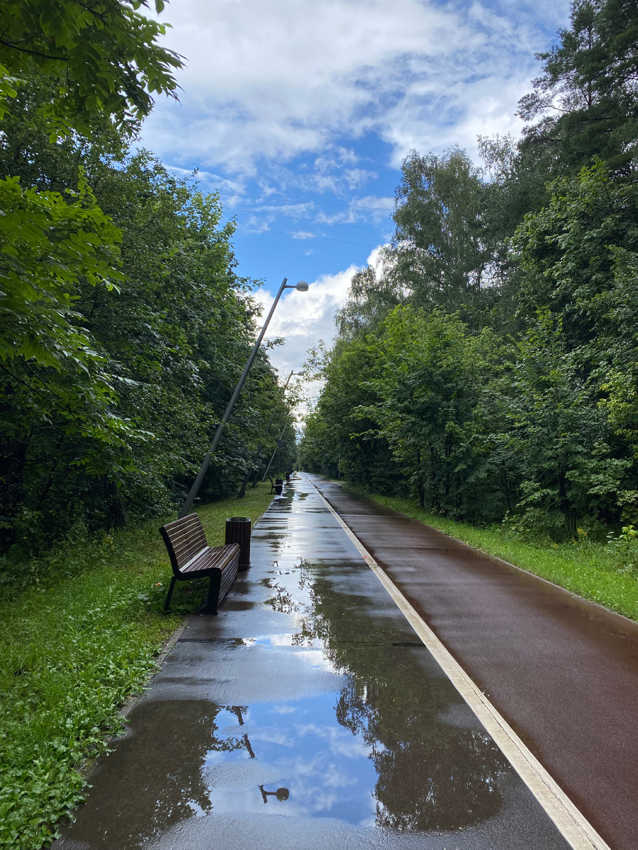 Подмосковье. В моём городе, после дождя 
