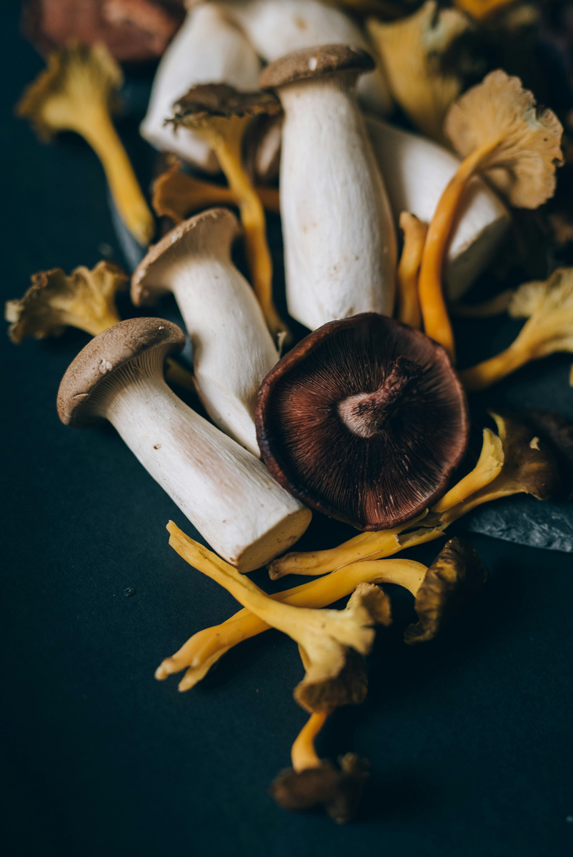 Фотограф: Leeloo The First: https://www.pexels.com/ru-ru/photo/5569540/