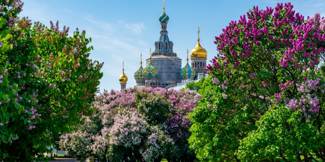Лето - это маленькая жизнь! Новое знакомство и бедный Кузя...