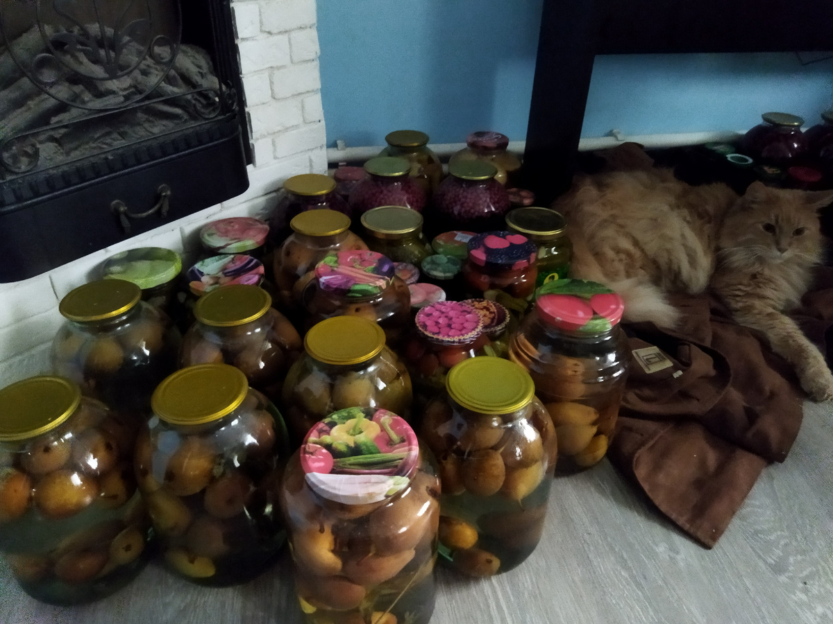Да, вот наш кот сторожит по ночам наши заготовки
