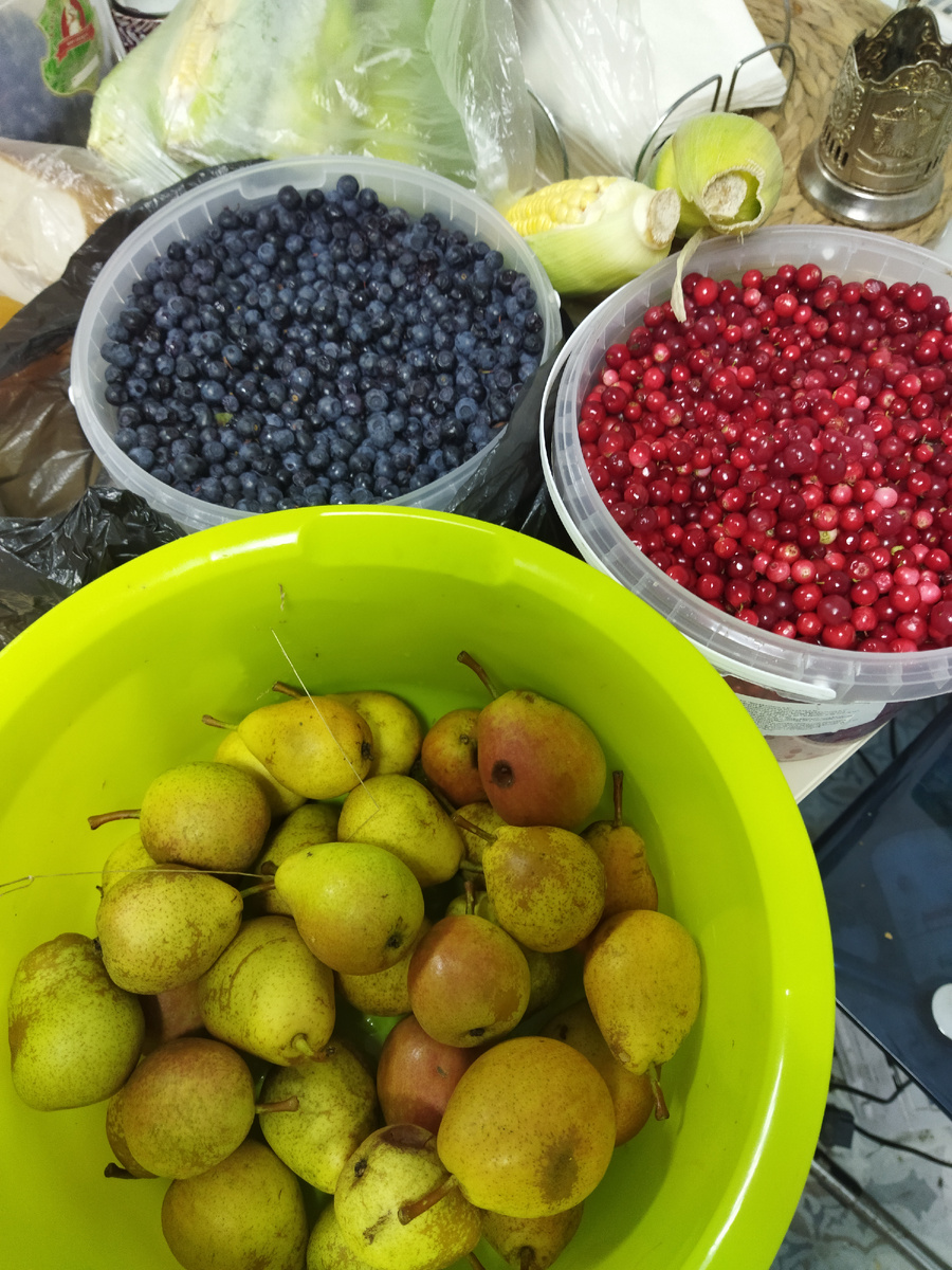 Груши, черничка, брусничка. Там и кукуруза затесалась