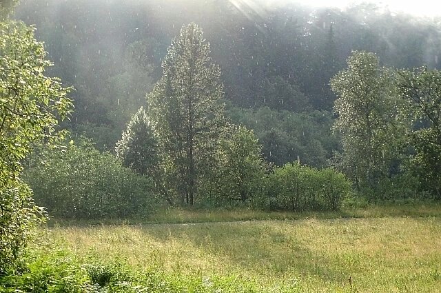    В начале недели по области могут быть дожди Фото: АиФ/ Евгения Гаева