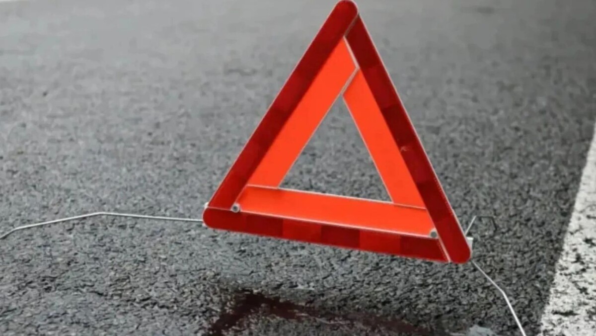    Фото: Mario Hoesel / Shutterstock / Fotodom