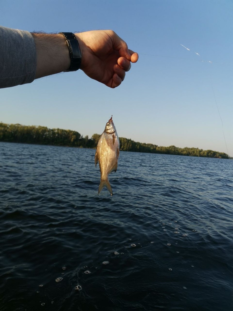    архив samaraonline24.ru