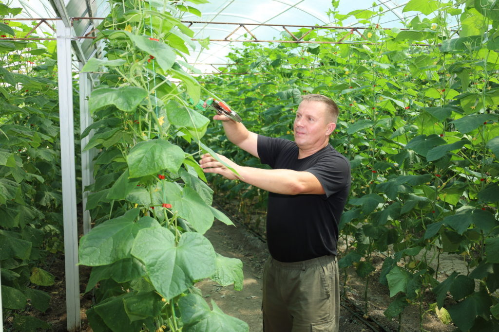    У фермера Романа Лапаева небольшое хозяйство, поэтому он обходится без помощников, но всегда рассчитывает на помощь от государства. Фото Павла Стеценко. Знамя Труда