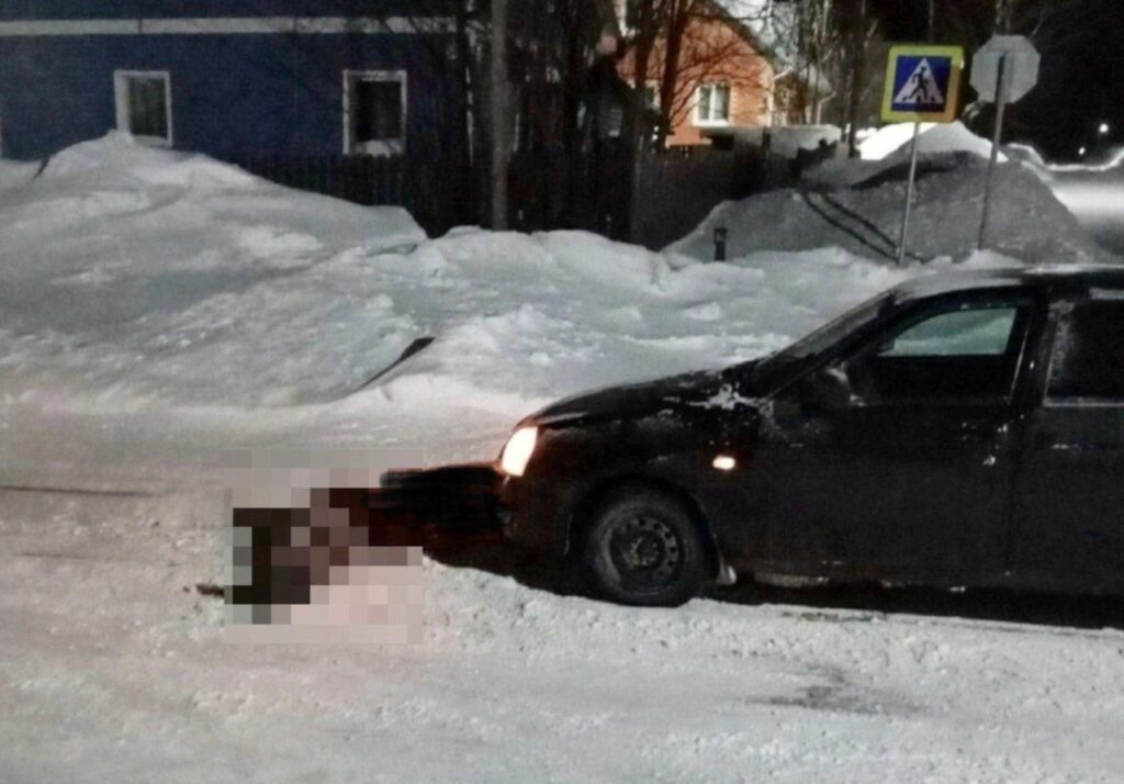    Фото: Прокуратура Пермского края Полина Анкушина