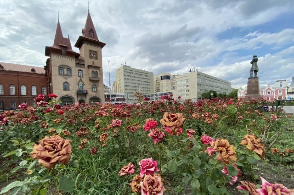    В Саратовской области ждут 33-градусную жару, дождь и грозы