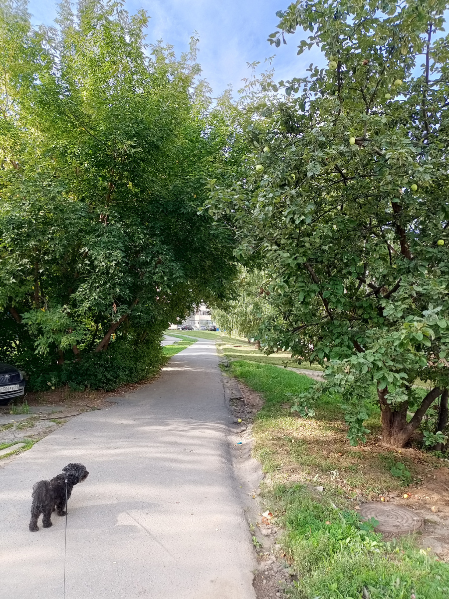 Это мы идем за вкусняшками