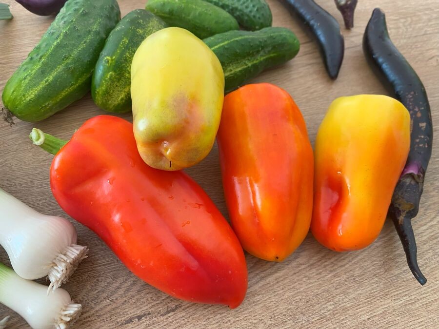 наш урожай лук-порей, перцы, нестандартные баклажаны