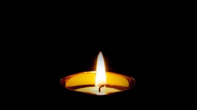    Фото: Avanta/Shutterstock/Fotodom