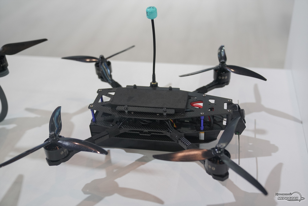    Фото: Лидия Аникина © ИА «Уральский меридиан»