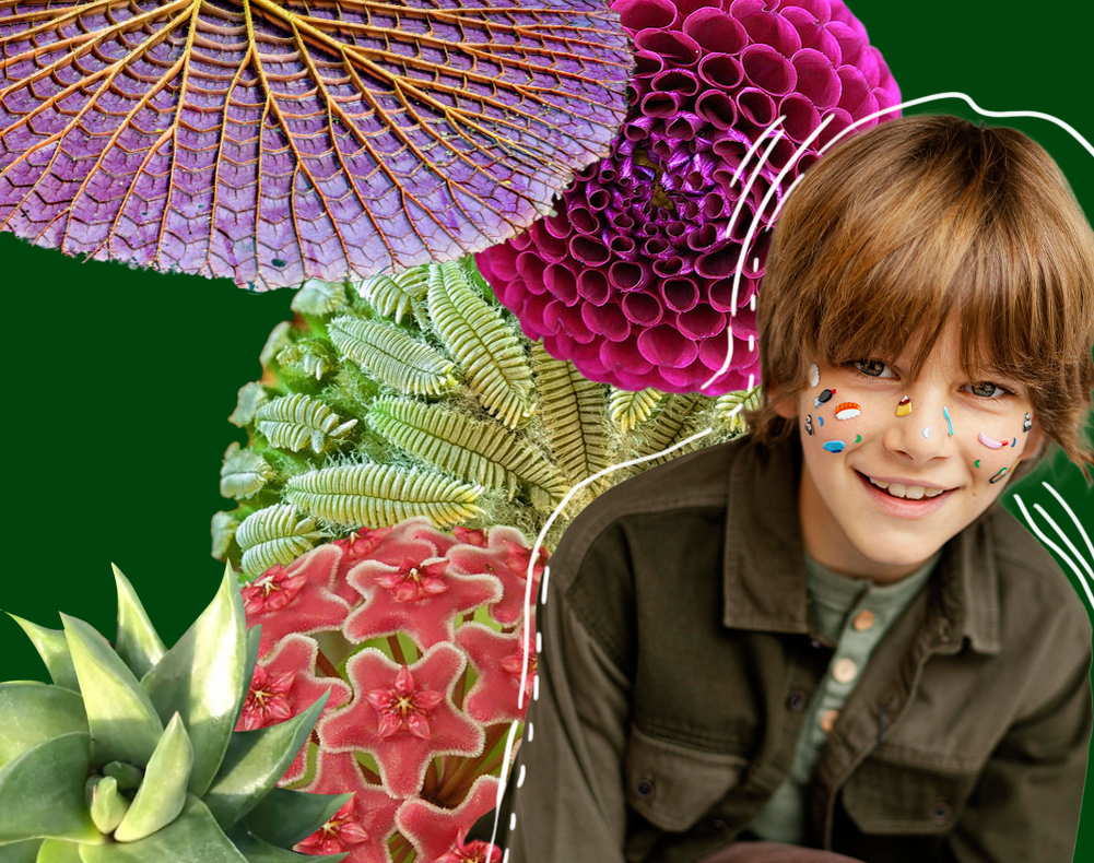 Когда каждый вечер один и тот же спектакль с математикой в главной роли, то надо искать другое решение. 