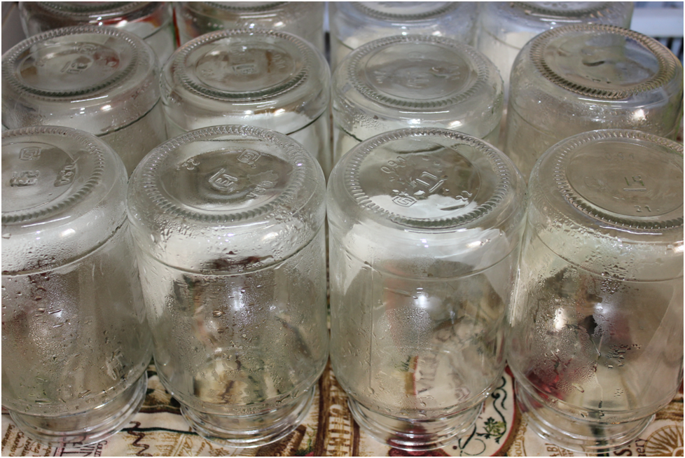 Личное фото автора.