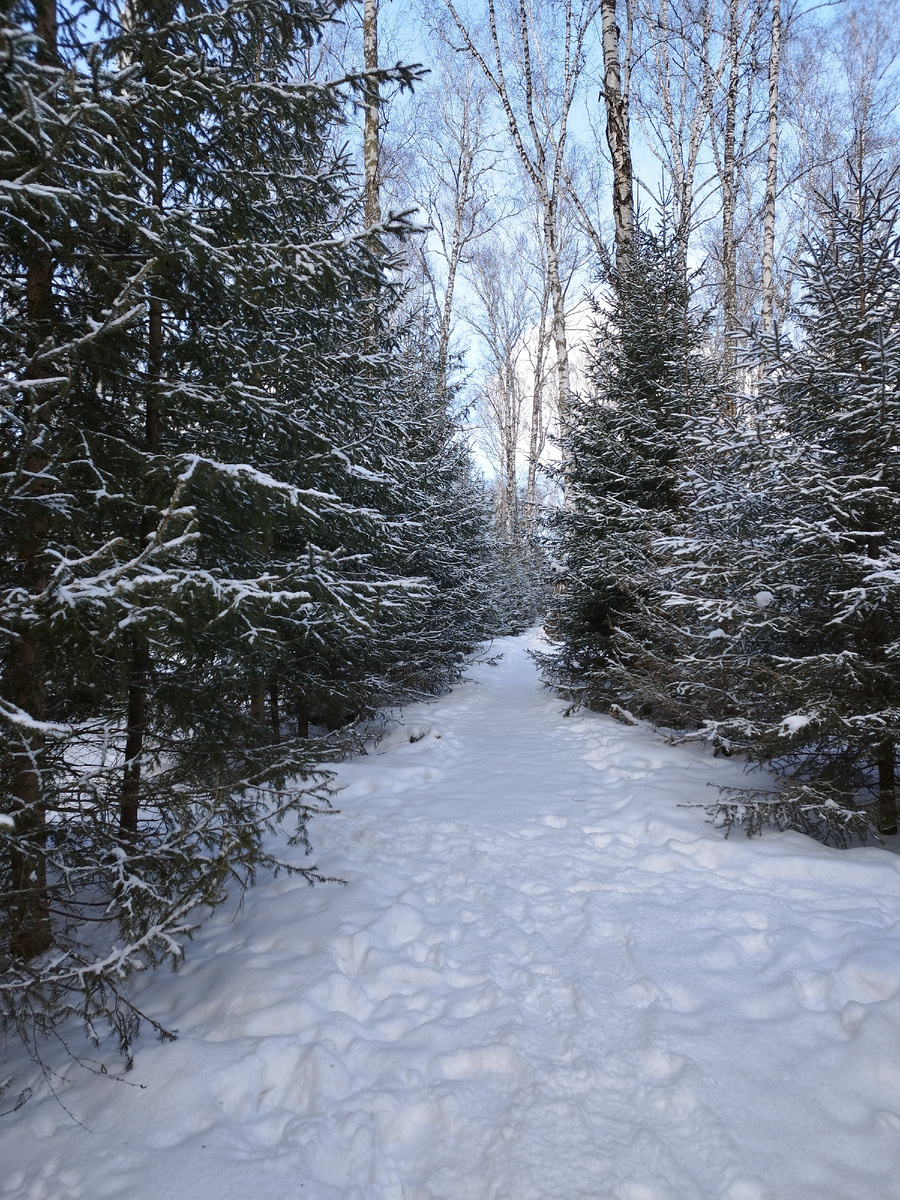 Белый. Фото из личного архива автора