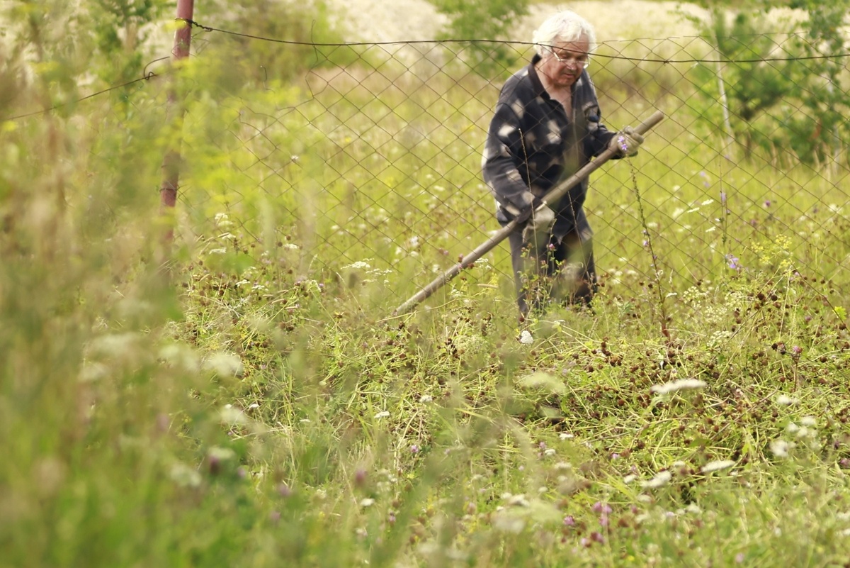 Автор фото: Павел Хацаюк / ИД «Вечерняя Казань»