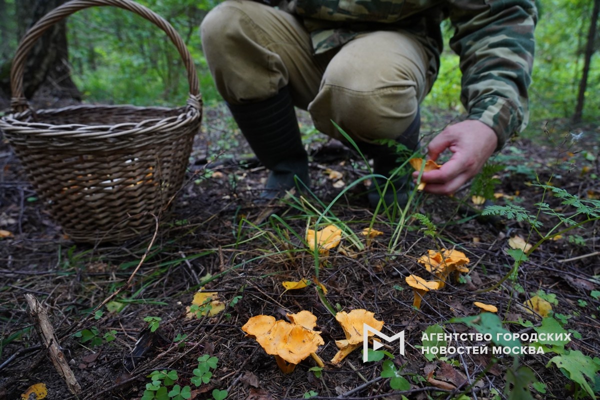 Авилов Александр/АГН Москва