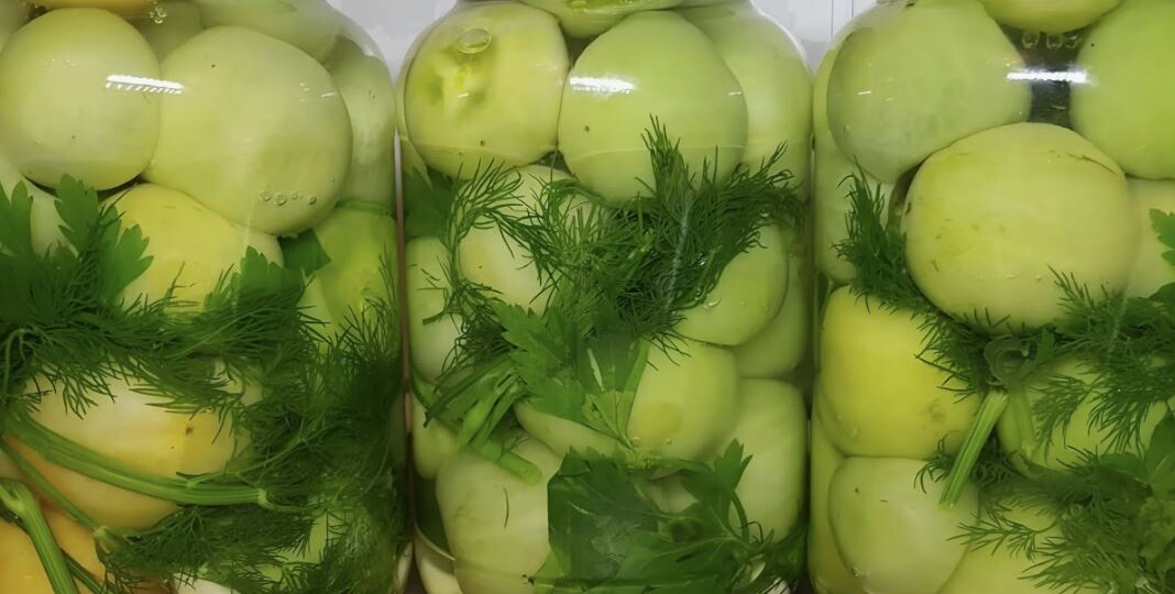 Солёные зелёные помидоры – хрустящая закуска, как у бабушки в деревне