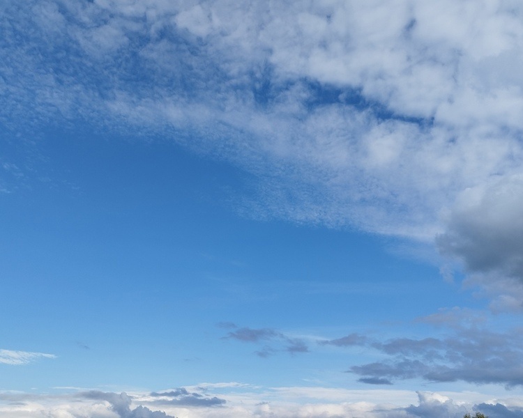     Ночью над Курской областью сбили один вражеский БПЛА
