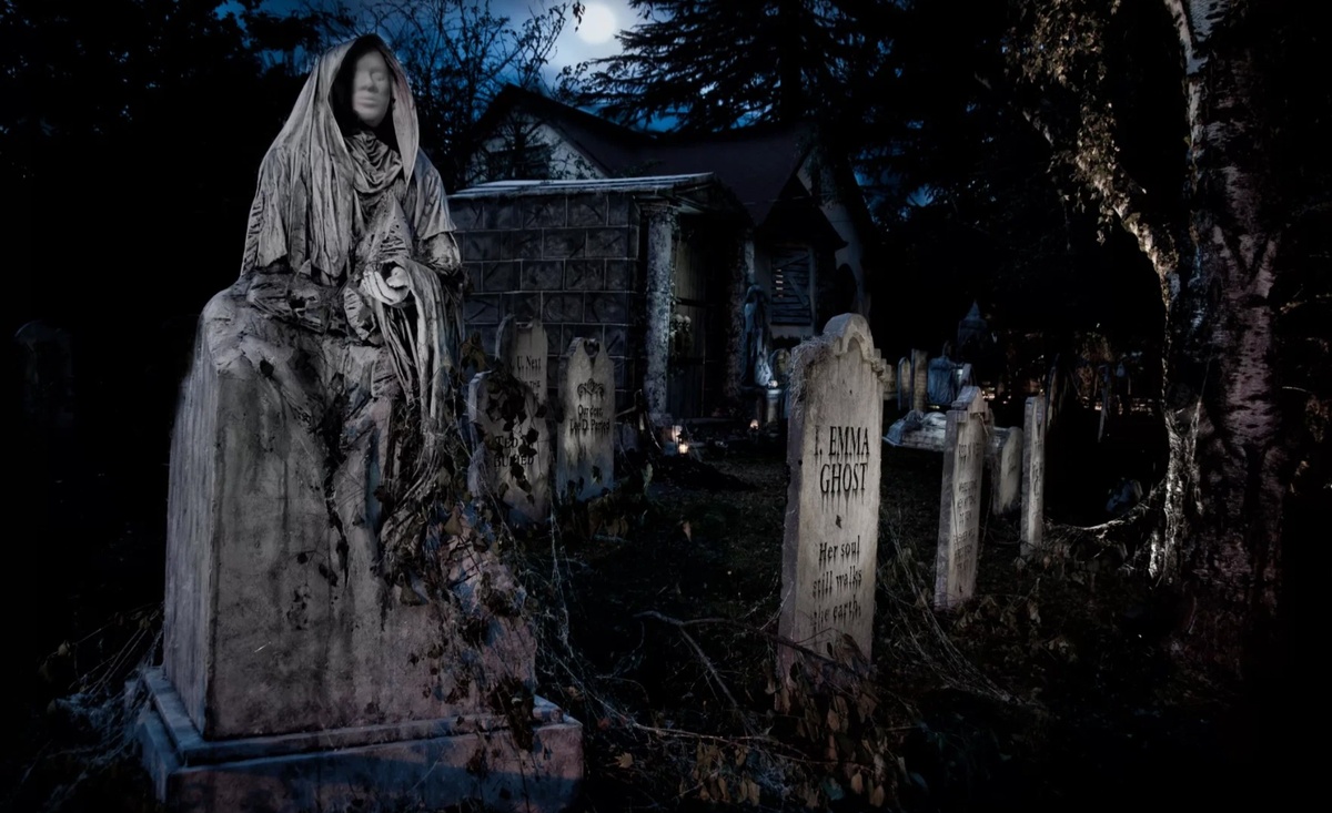 Картинка из интернета 