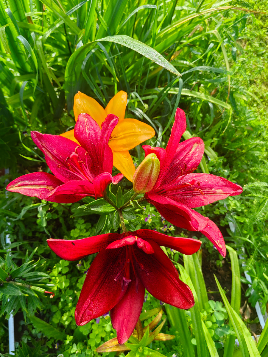 Мои фотки...