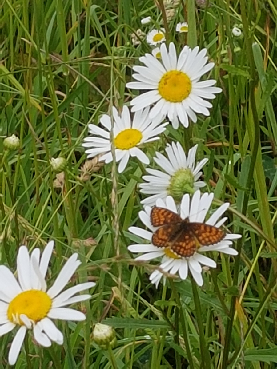 Мои фотки...