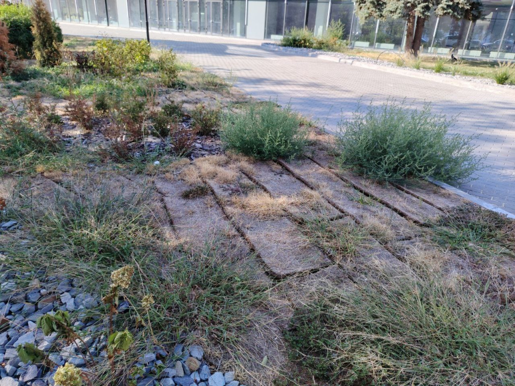    photo_2025-08-18_08-34-24 (3)