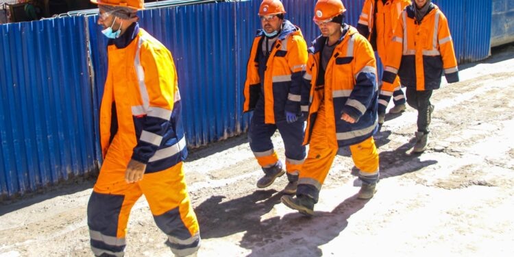    Илья Тушев / Вести Подмосковья