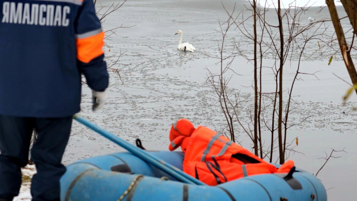    Фото: Василий Петров/«Ямал-Медиа»