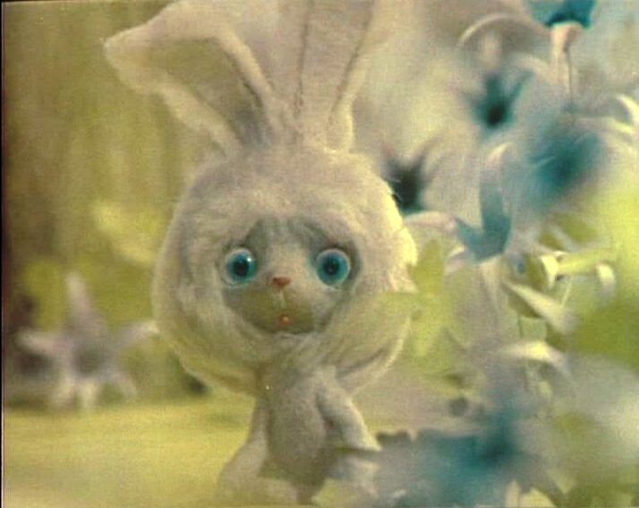 Вот наша милота😊