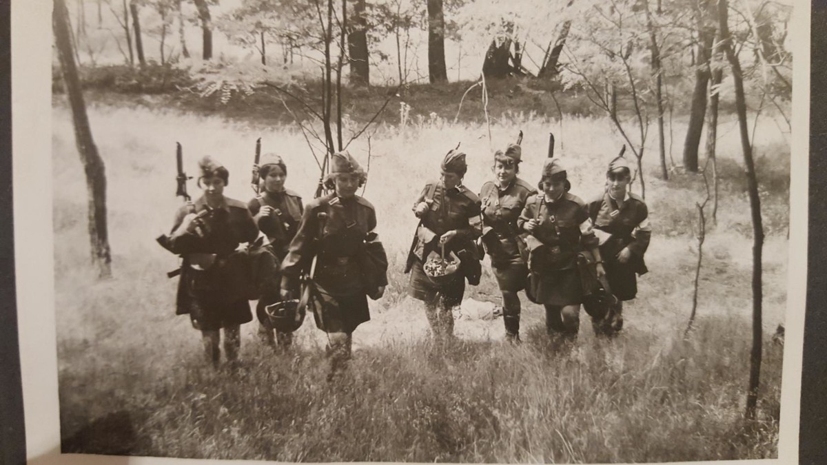 На войне, как на войне!