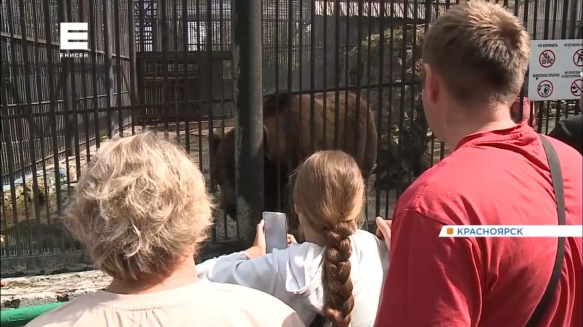     Красноярский «Роев ручей» отметил 25-летие