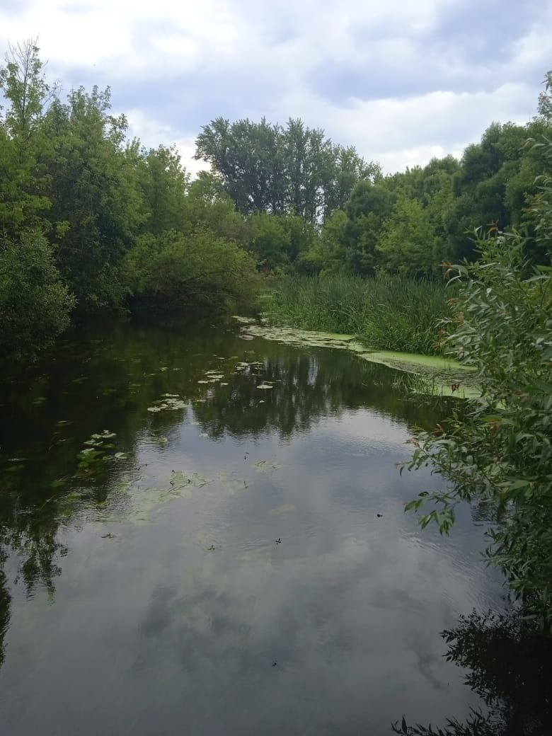 Фото: ГУ МЧС России по Курской области