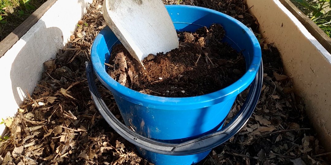 Поготовка грунта в теплице: Почва будет плодородной и лёгкой. Что добавить в грунт в августе и сентябре для щедрого урожая