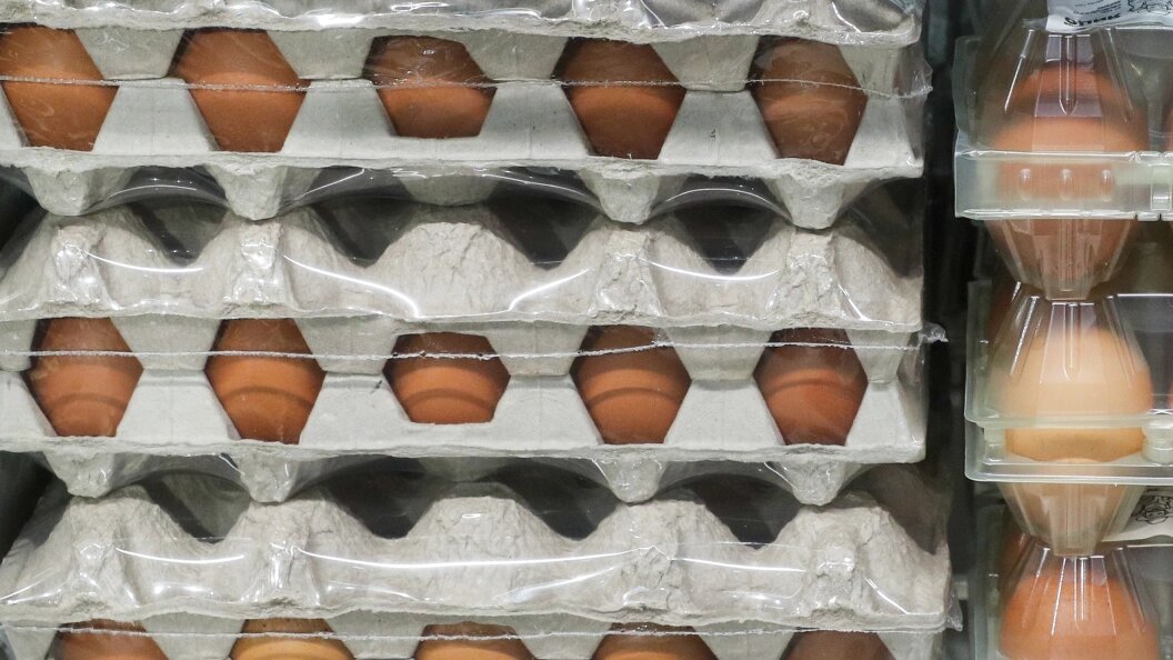    Petrov Sergey/news.ru/Globallookpress