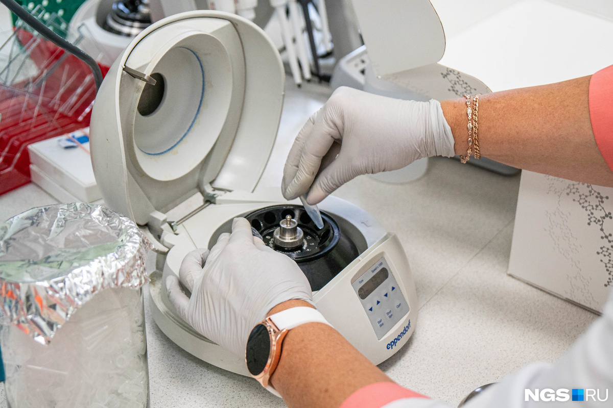    Фото: пресс-служба, источник: Новосибирский институт органической химии им. Н.Н. Ворожцова СО РАН