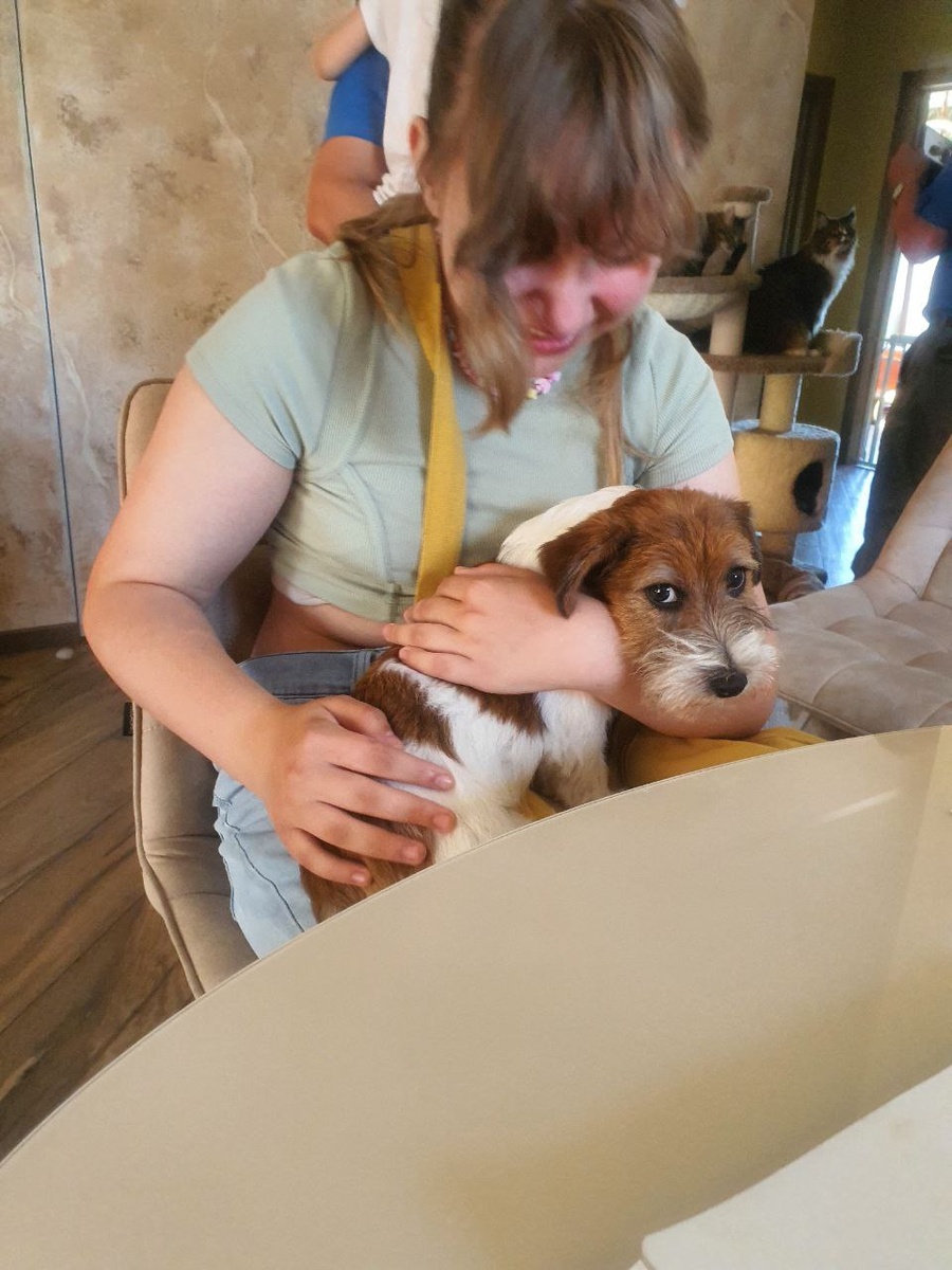 Щенок - это счастье, которое растет. Роберт Морли.