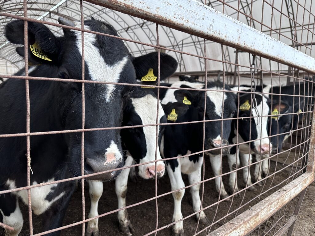    Фото: В курсе.ру Полина Анкушина