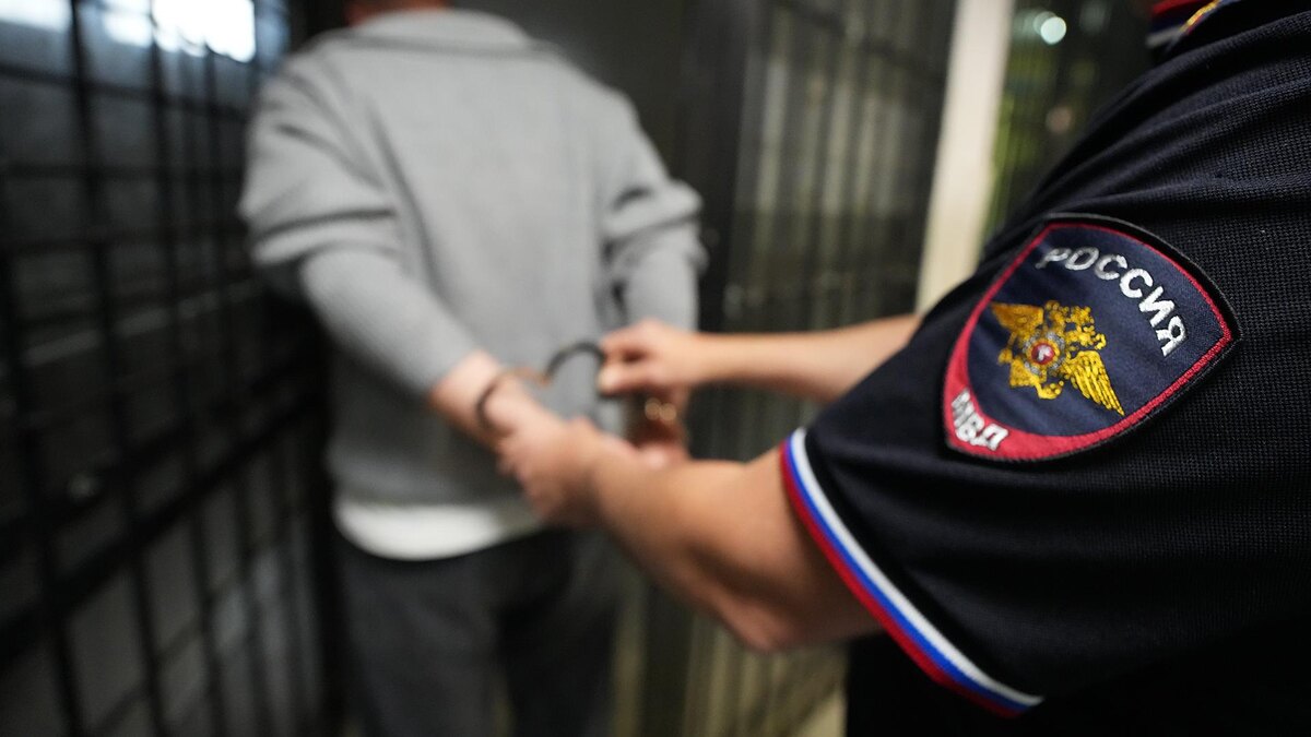    Фото: ИЗВЕСТИЯ/Дмитрий Коротаев