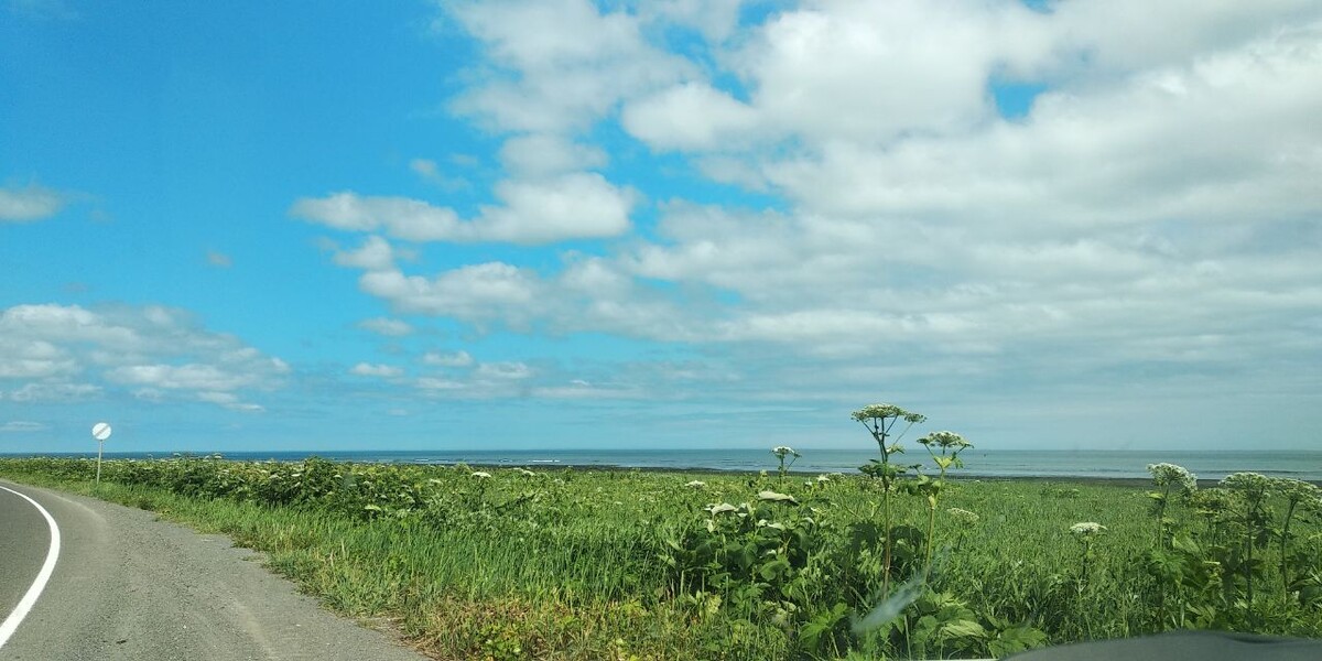 Трасса вдоль моря