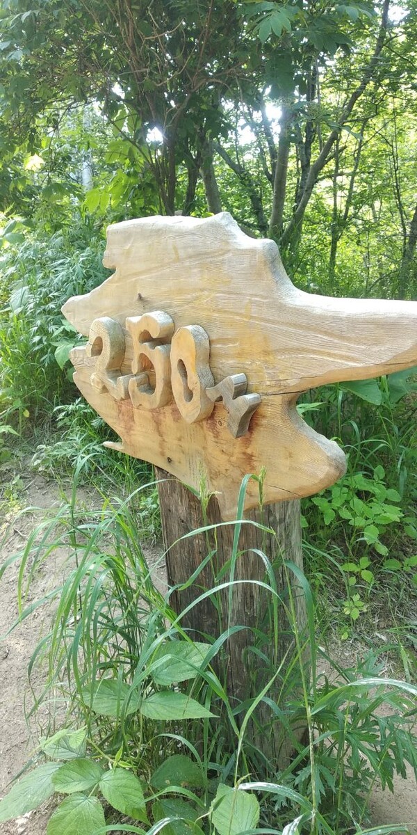 На тропе указатели, сколько осталось идти