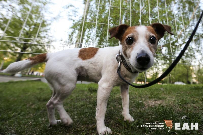    Архивное фото ЕАН