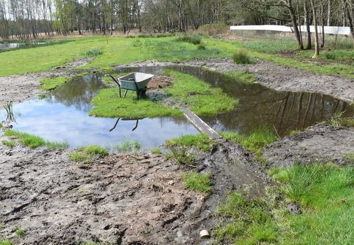 Изображение использовано  с ru.pinterest.com