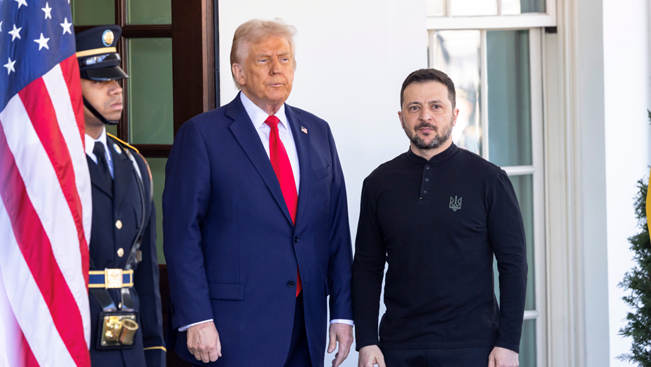    Автор фото: Joshua Sukoff / Shutterstock / FOTODOM