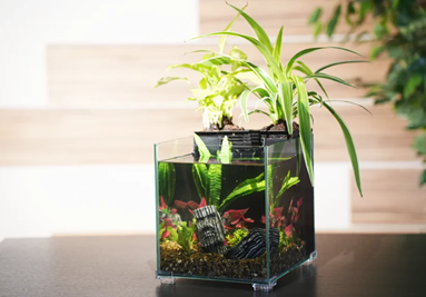 Совет: Даже после отстаивания воды рекомендуется использовать аквариумные кондиционеры, которые нейтрализуют из жидкости тяжелые металлы и прочие опасные соединения.