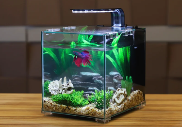 Таким образом, грамотная подготовка аквариумной воды занимает примерно месяц. Ожидание полностью себя оправдывает: комфортная водная среда жизненно необходима всем видам рыб без исключения.