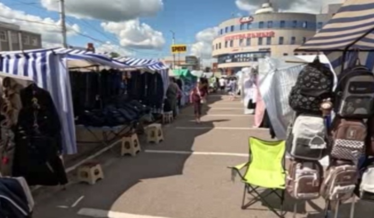    Роспотребнадзор Курской области запустил горячую линию перед началом учебного года