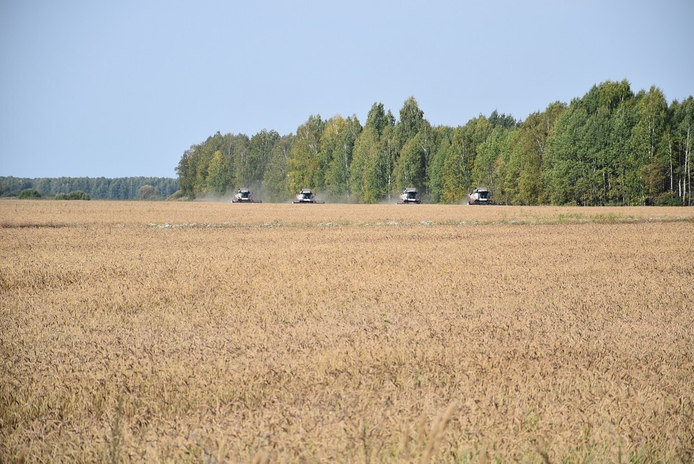 Фото: департамент агропромышленного комплекса Тюменской области