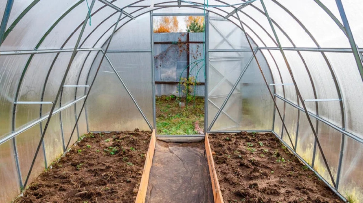 Как сделать землю в теплице плодородной и лёгкой как пух: секреты осенней подготовки грунта в теплице